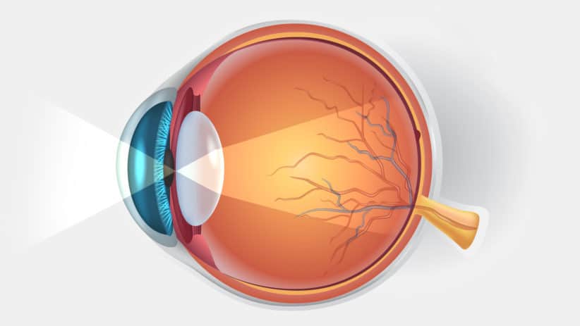 Improve Eye Health by Consuming Foods With the Right Nutrients
