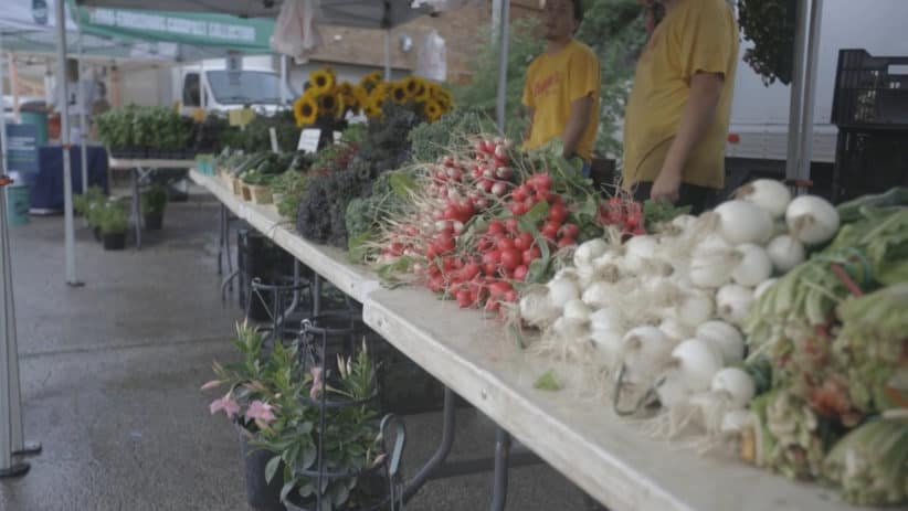 Lincoln Square Farmers Market Brings Fresh, Plant-Based Options to the Heart of Chicago